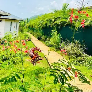 Hébergement de vacances Le Jardin Zen, Bouillante
