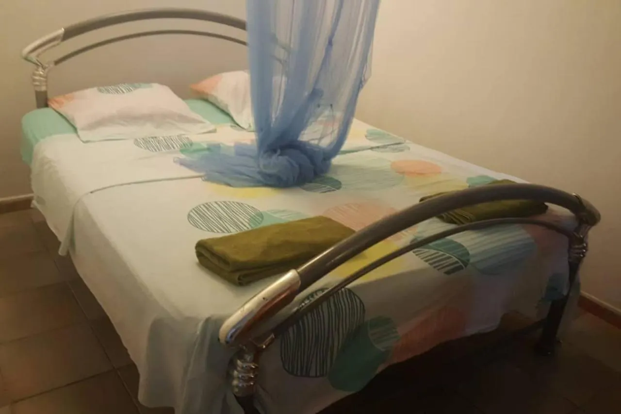 Appartement Le Jardin de Massieux à Bouillante
